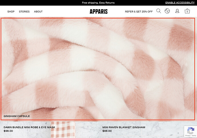 Screen Shot 2021-08-06 at 4.35.36 PM.png