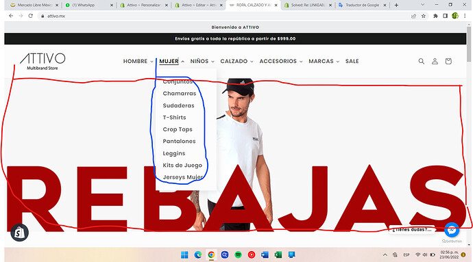 Captura de pantalla 2022-06-23 145821.png