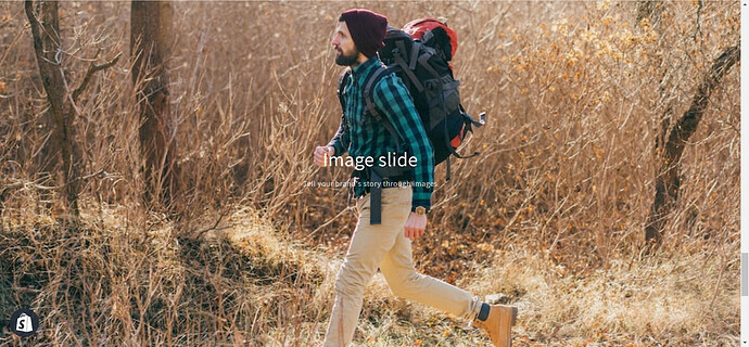 PageFlyVictor_3-1671176334929.png
