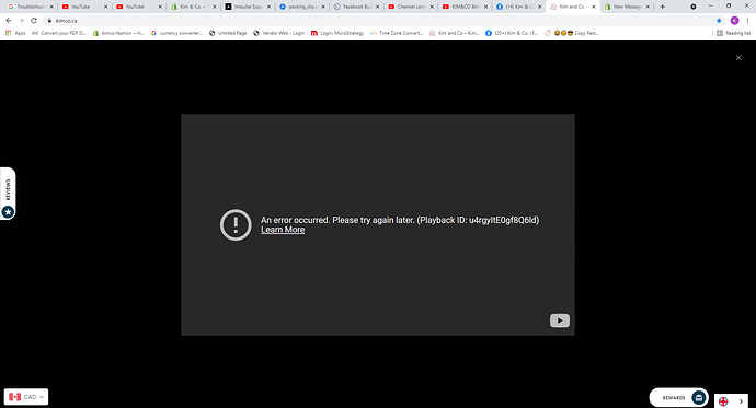 Kim and Co – Kim & Co. - Google Chrome 2021-10-22 2_55_47 PM.png