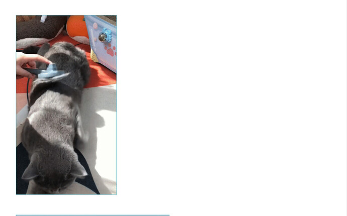 Screenshot 2022-08-21 122022.png