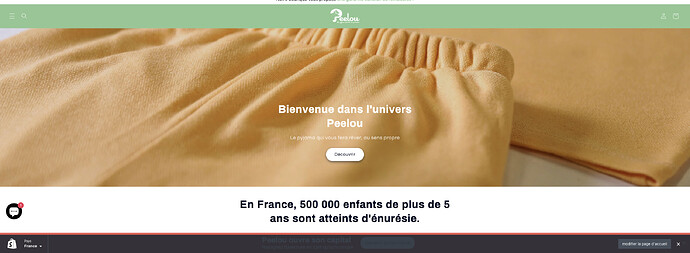 Capture d’écran 2024-02-19 à 18.34.01.png