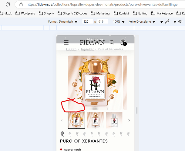 Ferismateam_0-1740554615807.png