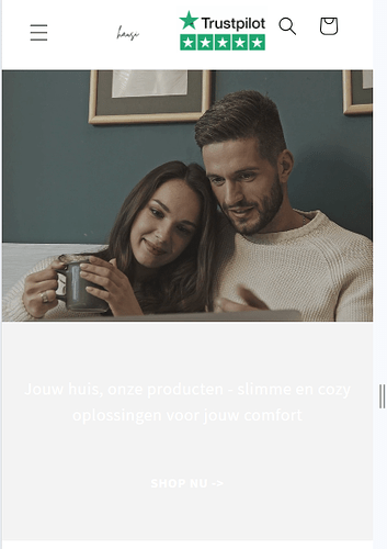 Hausi_1-1719128910473.png