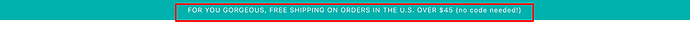 PageFlyRichard_3-1704850511922.png