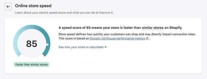 shopify-online-store-score.jpeg