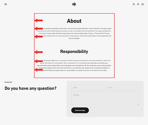 screencapture-testingstoresandthemes-myshopify-pages-contact-2024-10-22-11_03_58 copy.jpg