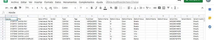 MNG csv1.jpeg