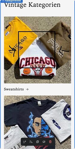 Bild 11.10.23 um 13.52.jpeg