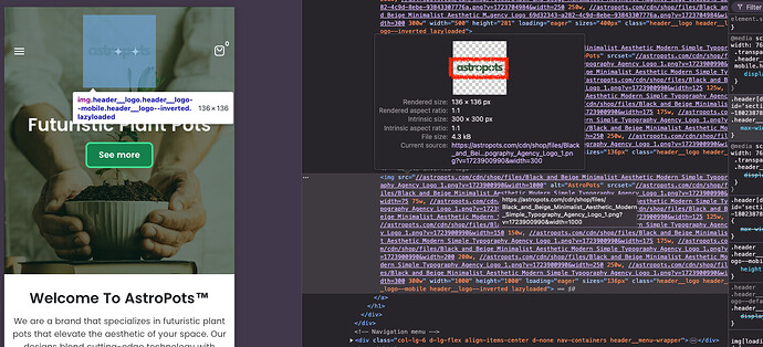 Screenshot 2024-08-19 at 15.19.20.png