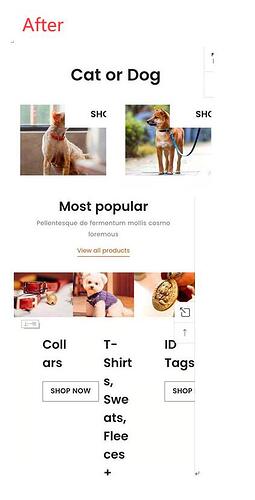QQ截图20210208172902.jpg