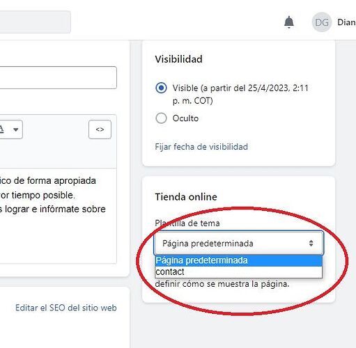 Shopify opciones de plantilla.jpg