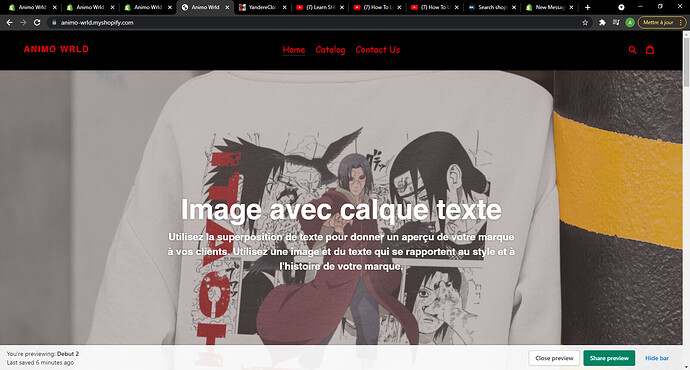 Animo Wrld - Google Chrome 9_6_2021 9_18_19 PM.png