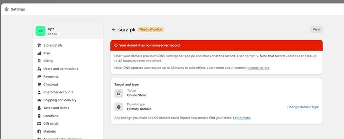 Shopify name server error.jpg
