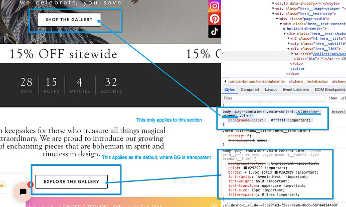 Screenshot 2024-01-27 at 8.55.45 AM.png