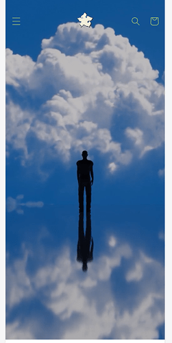213123213.PNG