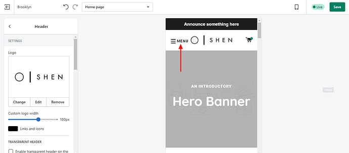 Zeian Shahzad _ .png