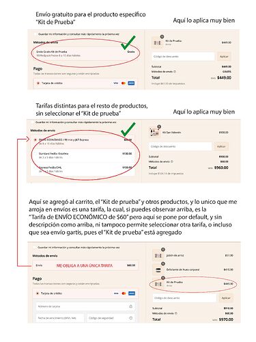 SHOPIFY ENVÍOS.jpg