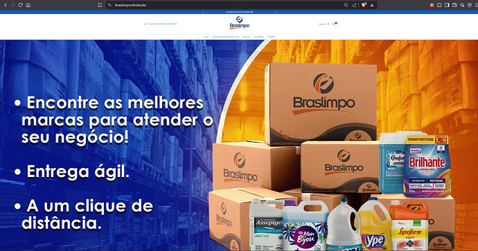 Site clonado da Braslimpo - Derrubado.PNG
