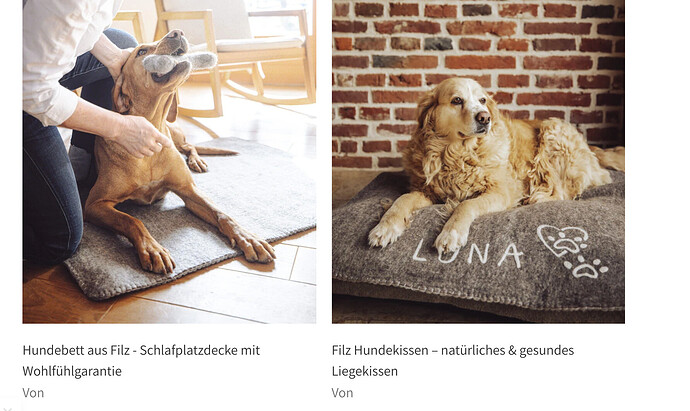 Bildschirmfoto 2021-03-03 um 13.03.12.png