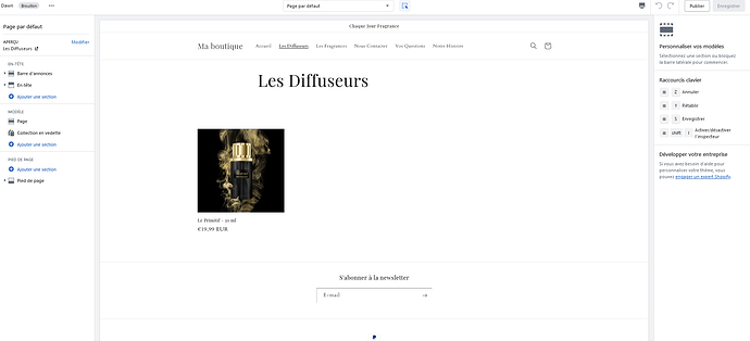 Screenshot 2023-05-17 at 17-10-52 Ma boutique · Personnaliser Dawn · Shopify.png