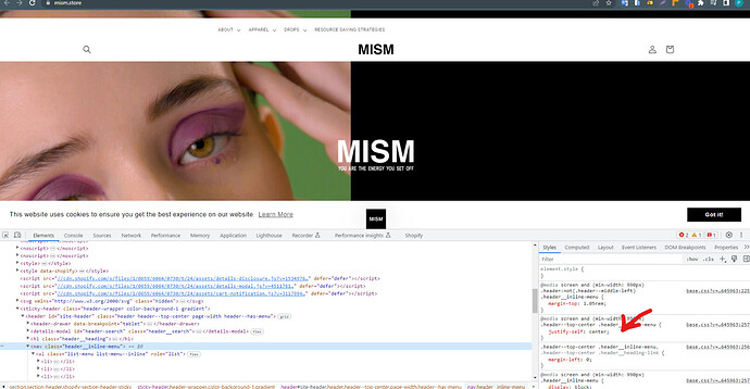 BSSCommerce_0-1686653532253.png