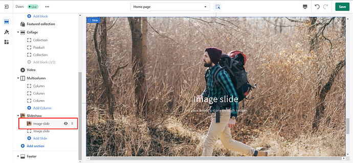 PageFlyVictor_1-1671176336693.png
