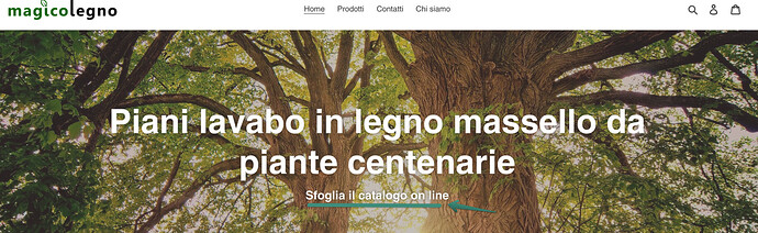 Sofia_1-1655296986859.png