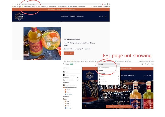 E-t page not showing.jpg