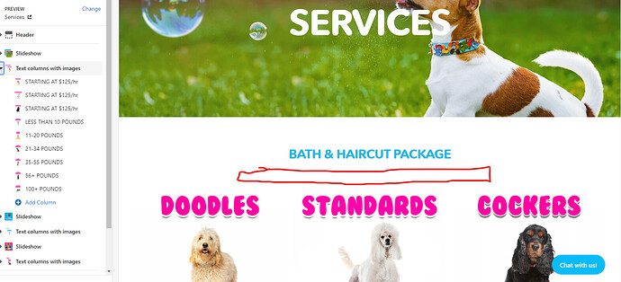 candicenowrise_0-1634601130654.png