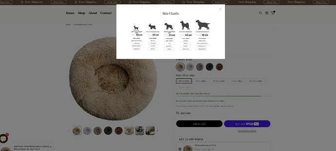 Bildschirmfoto 2025-02-18 um 00.03.20.png