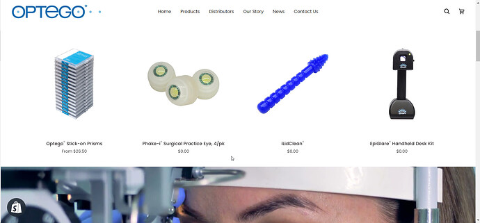 OptegoVision_2-1698074401335.png