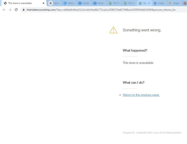 store-error.jpg