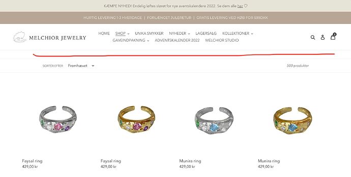 Skærmbillede 2022-11-13 kl. 09.55.30.jpg