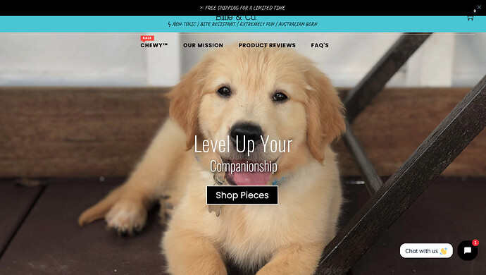 Screen Shot 2021-08-19 at 1.09.45 pm.png