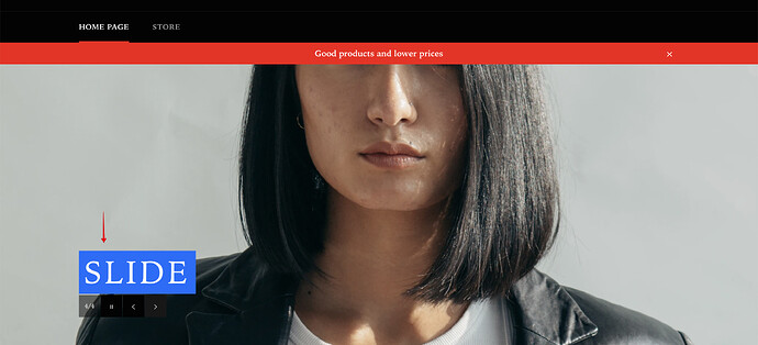 Online store – AlphaStorePR 2021-07-06 17-27-41.png