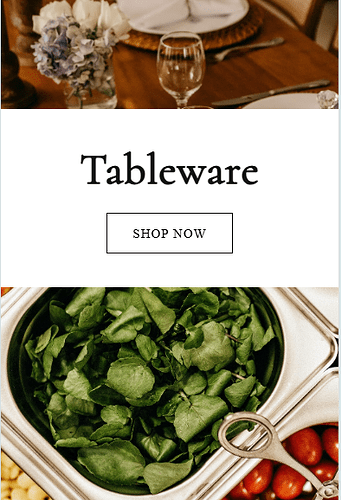 websensepro_0-1740577767063.png