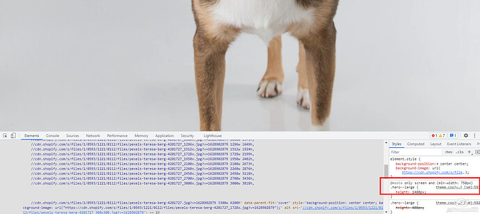 oscprofessional_0-1630494201797.png