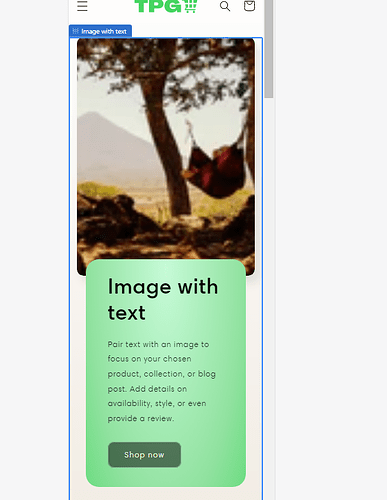 WSF_0-1668290346295.png