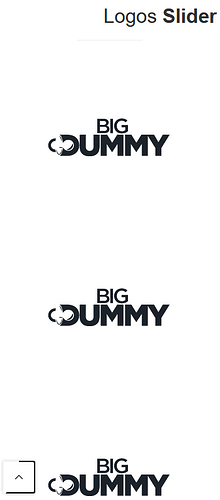 logoss.PNG