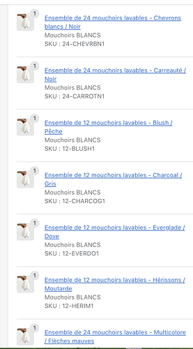 Capture d’écran, le 2021-09-20 à 14.46.51.png