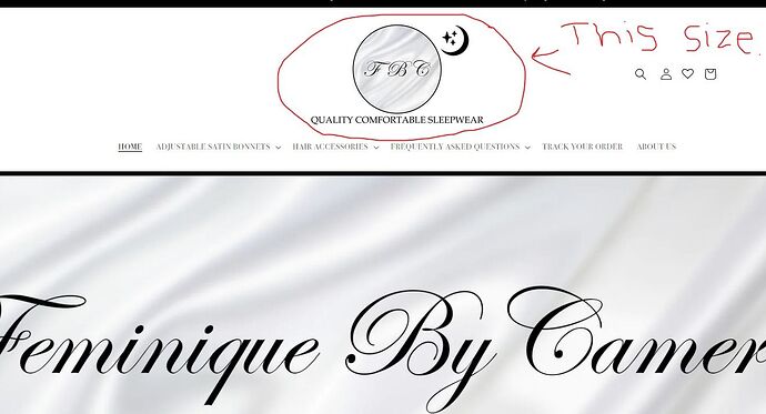 Web capture_11-11-2023_124748_www.feminiquebycameron.com.jpeg