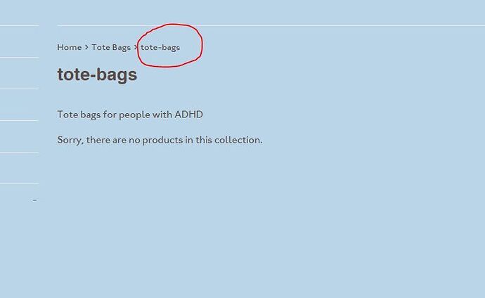 tote bag collection issue.JPG