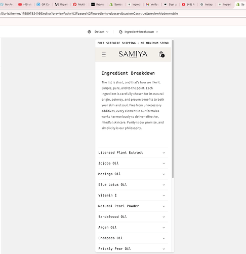 Screenshot 2025-01-27 at 13.30.04.png