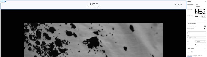 Screenshot 2025-07-31 at 4.30.21 PM