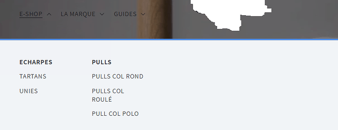 pb shopify.png