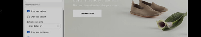 Screen Shot 2022-09-06 at 10.33.22 AM.png