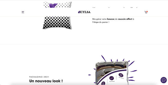 Capture d’écran 2021-04-19 à 19.28.01.png