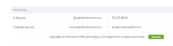 dns.png