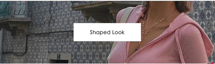 PageFlyKate_3-1700012938606.png